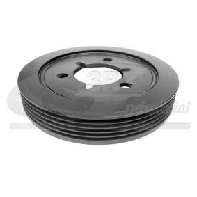 Acquista Puleggia cinghia albero a gomiti da 3RG 10220 a buon mercato per soli 42,24 €