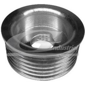 Comprar Polea, alternador de 3RG 10224 a bajo precio de 11,73 €