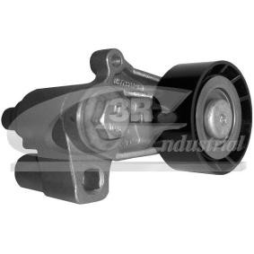 Compre Tensor da correia do alternador de 3RG online para Xantia Van / Carrinha (X2) a preços moderados
