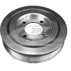 Acquista Puleggia cinghia albero a gomiti da 3RG 10244 a buon mercato per soli 73,85 €