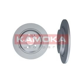 Bremsscheibe 103176