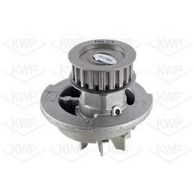 Wasserpumpe 10694 für Polonez Pickup für 109,14 CHF