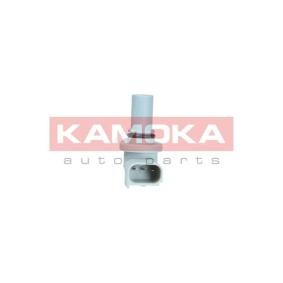 Nockenwellensensor 108005