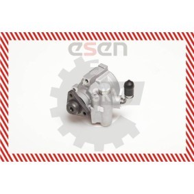 Servopumpe 10SKV003