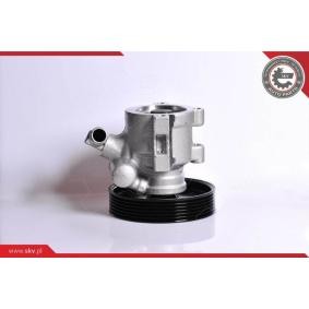 Servopumpe 10SKV138 von ESEN SKV günstig für 113,53 € online kaufen