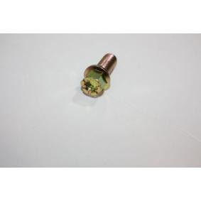 Comprar Tornillo de rueda de AUTOMEGA 110100310 a bajo precio de 3,04 €