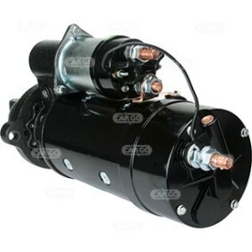 Lichtmaschine 111342