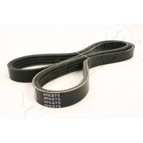 Keilrippenriemen 112-4PK875