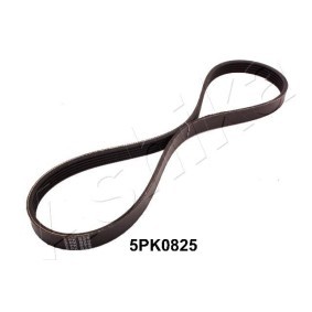 Achetez des Courroie Poly-V ASHIKA 112-5PK0825 à prix pour 9,95 €