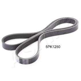 Achetez des Courroie Poly-V ASHIKA 112-5PK1250 à prix pour 10,15 €