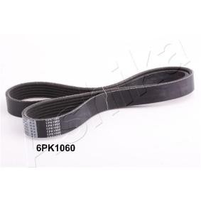Keilrippenriemen 112-6PK1060