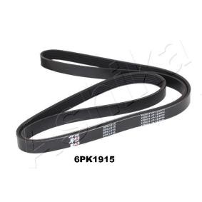 Achetez des Courroie Poly-V ASHIKA 112-6PK1915 à prix pour 21,86 €