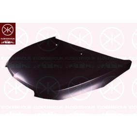 Motorhaube 1133280
