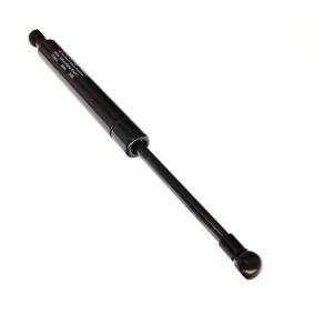 Heckklappendämpfer 12-0034