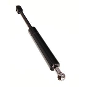 Heckklappendämpfer 12-0132