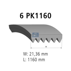 Keilrippenriemen von DT Spare Parts