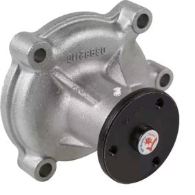 Wasserpumpe von JP GROUP