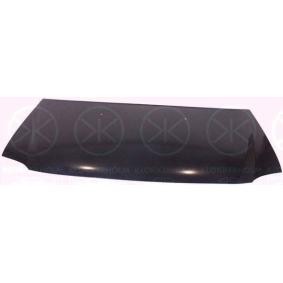 Motorhaube 1301280