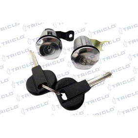 Schließzylinder für CITROËN von TRICLO