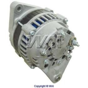 Lichtmaschine 13273N