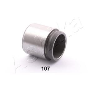 Køb Stempel, bremsekaliper af ASHIKA 133-01-107 til den lave pris 296,33 DKK