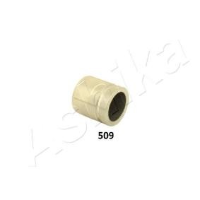 Køb Stempel, bremsekaliper af ASHIKA 133-05-509 til den lave pris 277,23 DKK