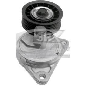 Comprar Tensor de correa poli V de 3RG 13300 a bajo precio de 33,60 €