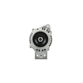Lichtmaschine von BV PSH