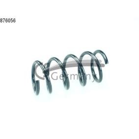 Federn von CS Germany für 500C / 595C / 695C (312_) Cabrio günstig online kaufen
