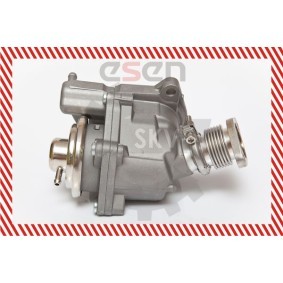 Comprar Válvula EGR de ESEN SKV 14SKV063 a bajo precio de 149,69 €