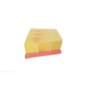 Comprar Regulador del alternador de AUTOMEGA 150091910 a bajo precio de 6,78 €