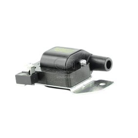 Acquista Bobina d'accensione da EFI AUTOMOTIVE 155079 a buon mercato per soli 25,79 €