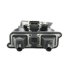 Zündspule von EFI AUTOMOTIVE