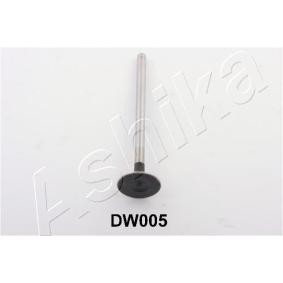 Auslaßventil 15DW005