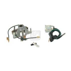Acquista Kit montaggio, Centralina d'accensione da EFI AUTOMOTIVE 160510 a buon mercato per soli 87,04 €