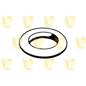 Comprar Anillo de soporte, silenciador de UNIGOM 166001 a bajo precio de 2,23 €