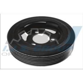 Achetez des Poulie damper (vilebrequin) IJS GROUP 17-1125 à prix pour 46,23 €