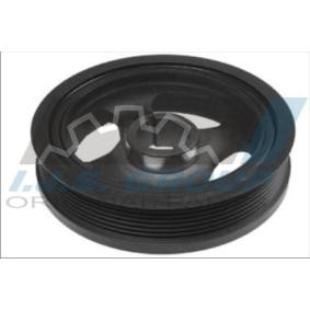 Achetez des Poulie damper (vilebrequin) IJS GROUP 17-1174 à prix pour 154,32 €