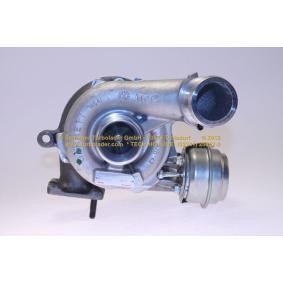 Achetez des Turbocompresseur SCHLÜTTER TURBOLADER 172-09110 à prix pour 1066,55 €