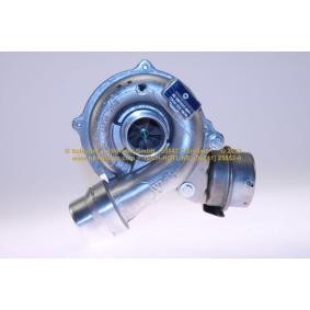 Achetez des Turbocompresseur SCHLÜTTER TURBOLADER 172-12905 à prix pour 685,38 €