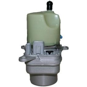 Servopumpe 17BE121 für VOLVO