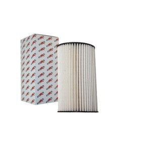 Achetez des Filtre à carburant AUTOMEGA 180010810 à prix pour 15,82 €