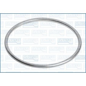 Dichtung, Abgasrohr 18006900