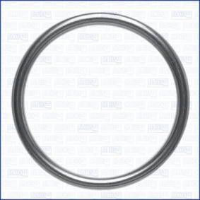 Dichtung, Abgasrohr 18007700