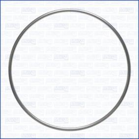 Dichtring, Abgasrohr 18008300