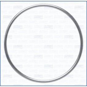Dichtring, Abgasrohr 18008400