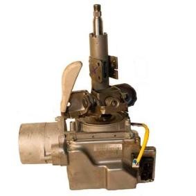 Lenksäule + Elektrische Servolenkung 18CE032