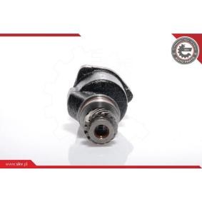 Acquista Pompa depressione, Sistema frenante da ESEN SKV 18SKV001 a buon mercato per soli 149,91 €