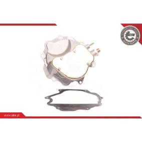 Compre Bomba de vácuo, sistema de travagem da ESEN SKV 18SKV007 a um preço baixo por 154,77 €