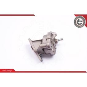 Compre Bomba de vácuo, sistema de travagem da ESEN SKV 18SKV013 a um preço baixo por 125,87 €